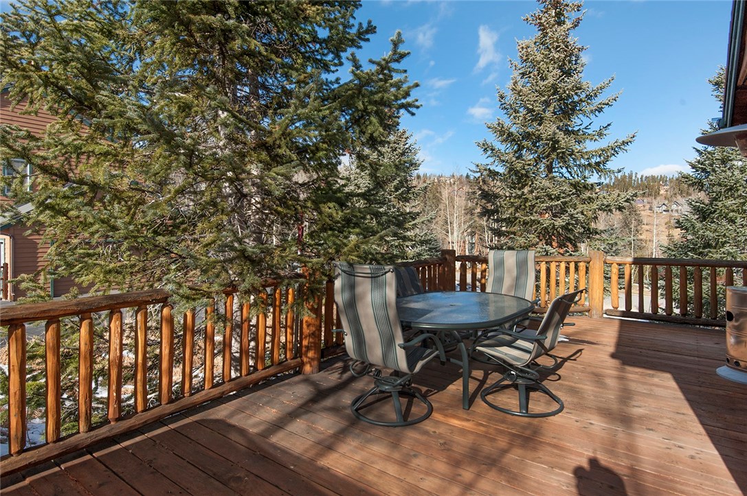 735 Wild Rose Road Silverthorne, CO 80498 - Photo 24 of 25 Gallery Image 24