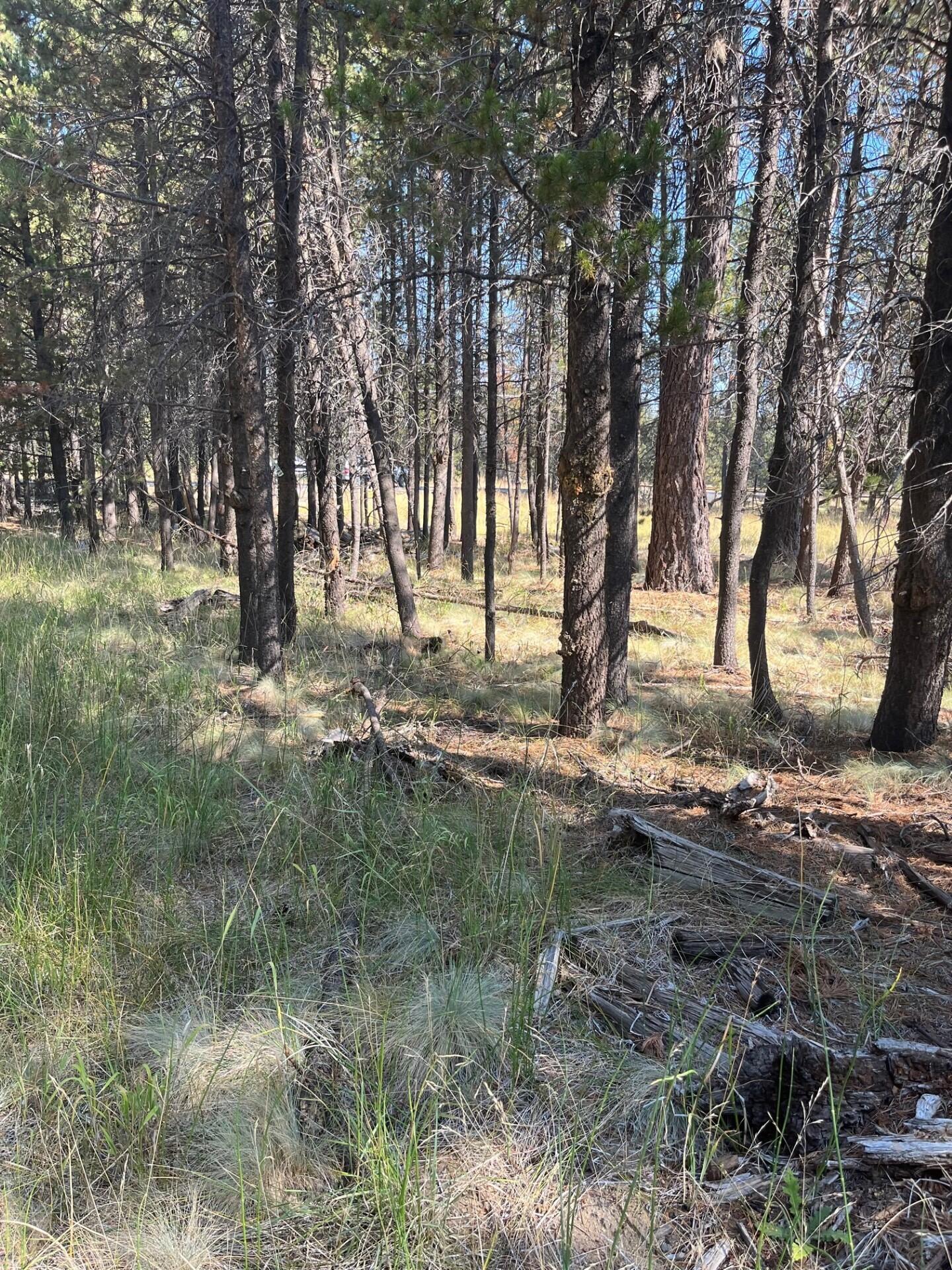 17123 Spring River Road, Unit 14 Bend, OR 97707 - Photo 6 of 6 a backyard of a house with lots of green space