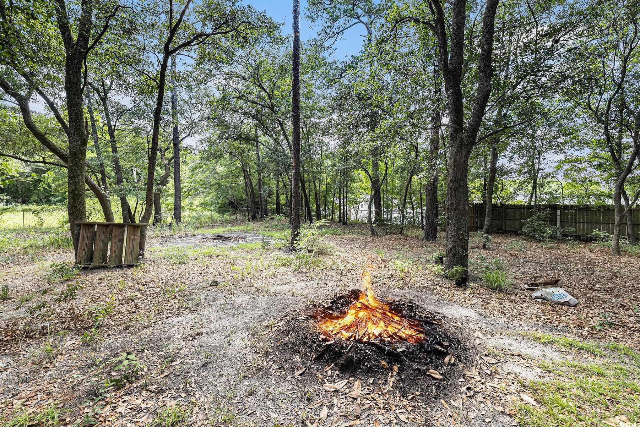 1015-1017 Franks Lane Conway, SC 29526 - Photo 32 of 33