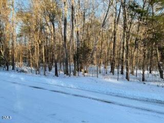 0 Turner Road Mebane, NC 27302 - Photo 2 of 6 IMG_0139