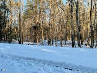 0 Turner Road Mebane, NC 27302 - Photo 5 of 6 IMG_0142