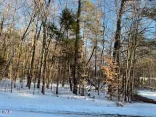 0 Turner Road Mebane, NC 27302 - Photo 6 of 6 IMG_0141