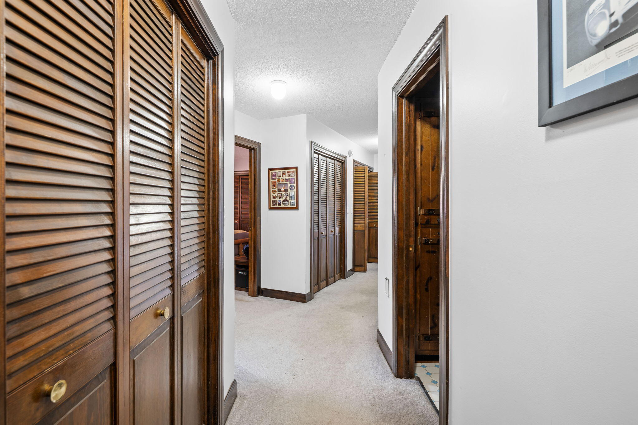 870 Ridge Road Dunlap, TN 37327 - Photo 33 of 86 Trimble (60)