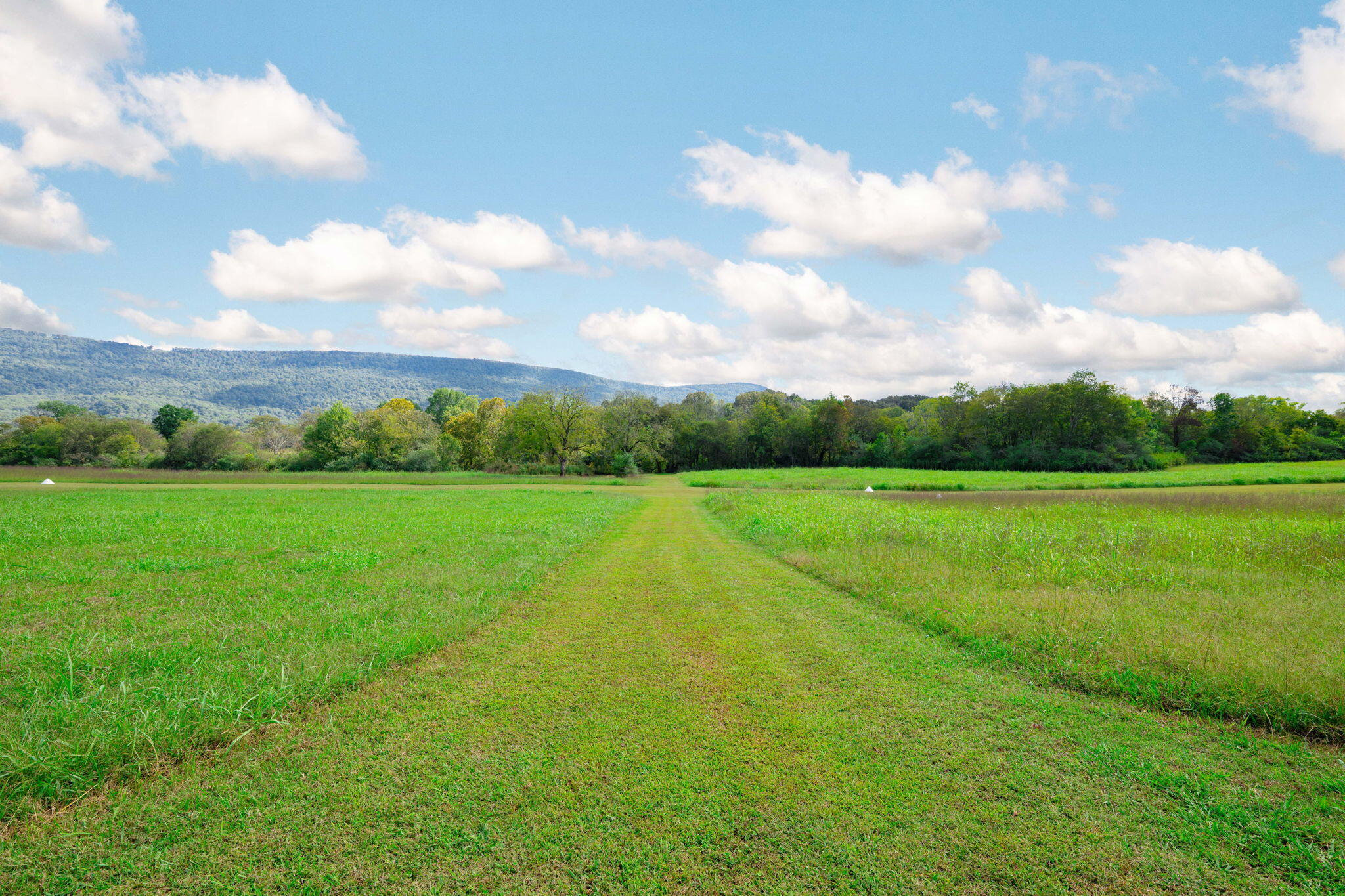 870 Ridge Road Dunlap, TN 37327 - Photo 68 of 86 Trimble (8)