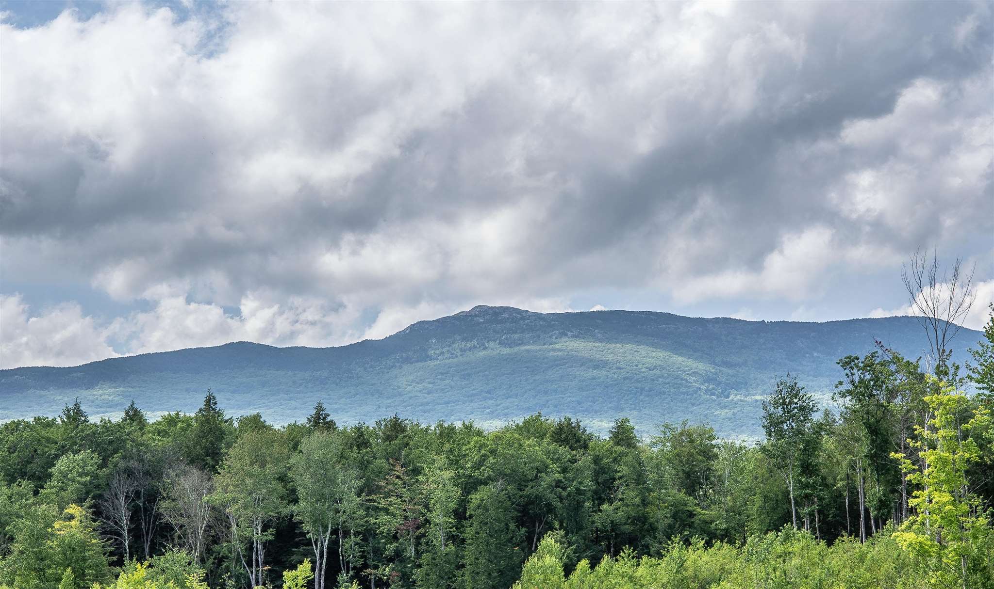 65 Dublin Road, Unit 4 Jaffrey, NH 03452 - Photo 2 of 39