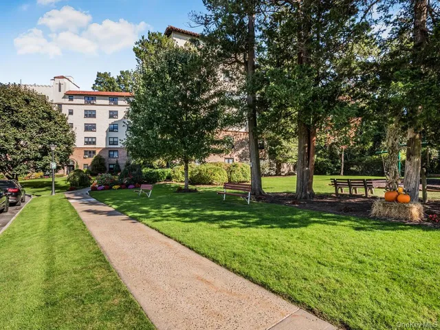 a view of a yard with plants and trees