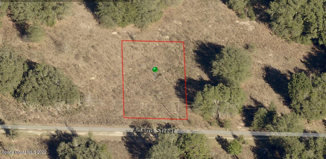 2216 Adams Street Inverness, FL 34453 - Photo 2 of 3 a view of a lot of plants and trees