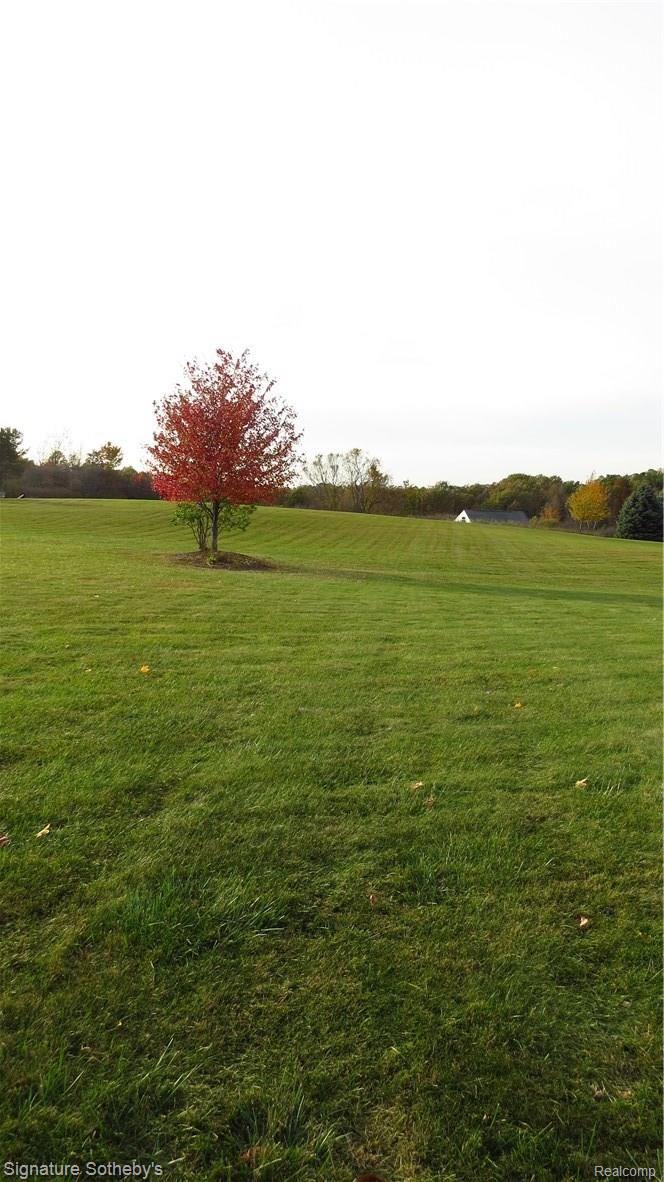 3460 Baldwin Road Metamora, MI 48455 - Photo 12 of 46 IMG_7333.JPG