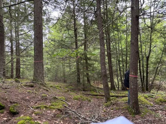 $250,000 | 44 A Trott Road, Woolwich, ME 04579