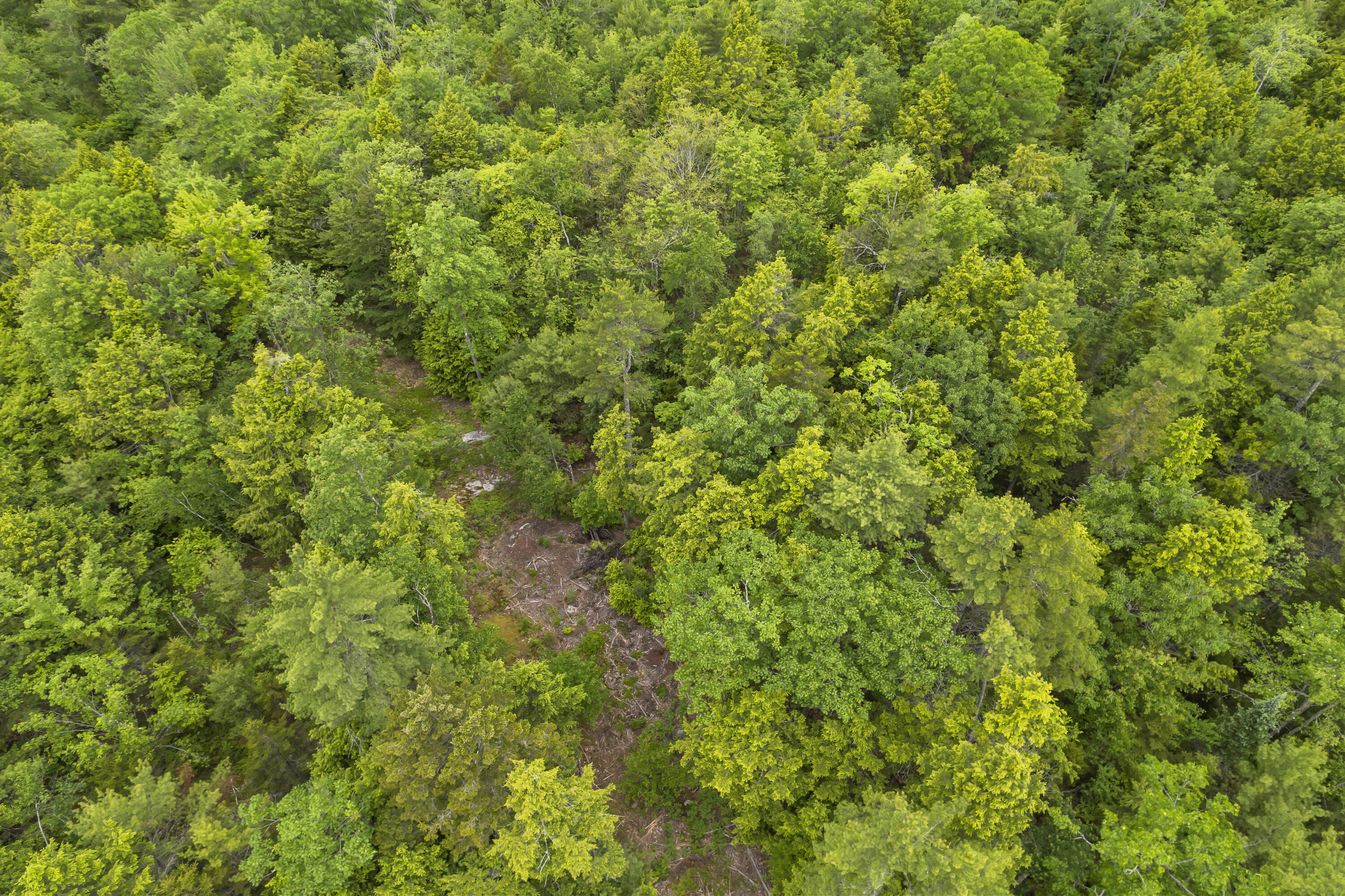 44 A Trott Road Woolwich, ME 04579 - Photo 33 of 37 44 Trott Road_0119