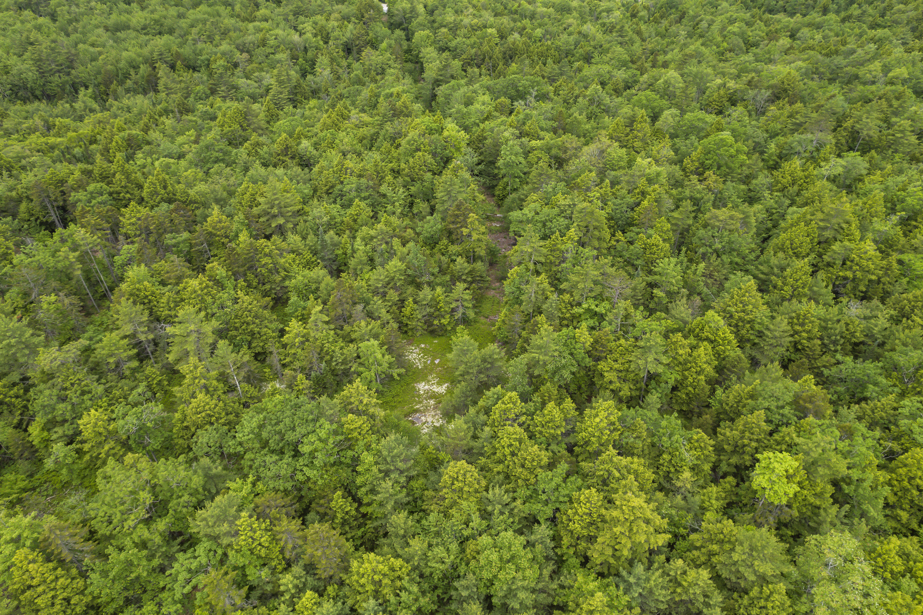 44 A Trott Road Woolwich, ME 04579 - Photo 34 of 37 44 Trott Road_0120