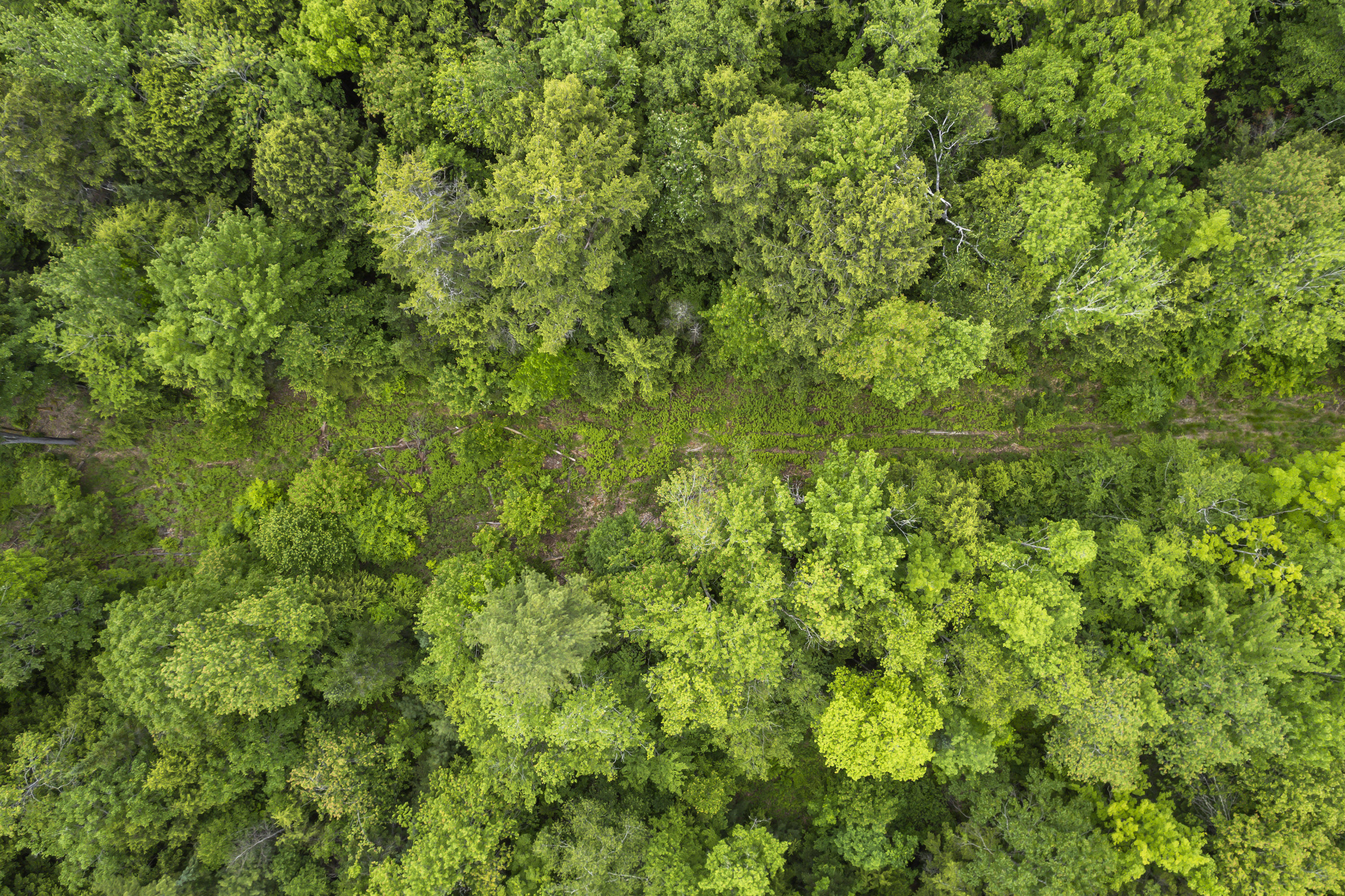 44 A Trott Road Woolwich, ME 04579 - Photo 35 of 37 44 Trott Road_0121