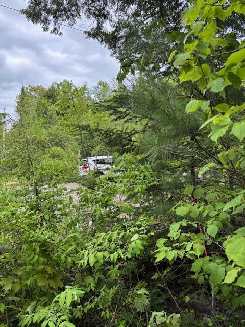 44 A Trott Road Woolwich, ME 04579 - Photo 4 of 37 SW Pin