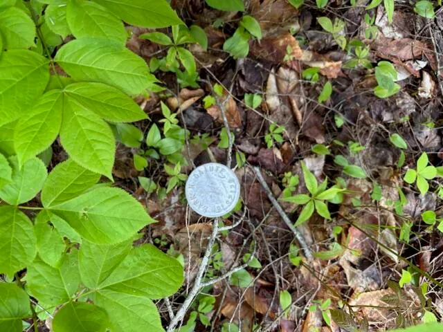 $250,000 | 44 A Trott Road, Woolwich, ME 04579