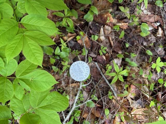 44 A Trott Road Woolwich, ME 04579 - Photo 6 of 37 Harper pin