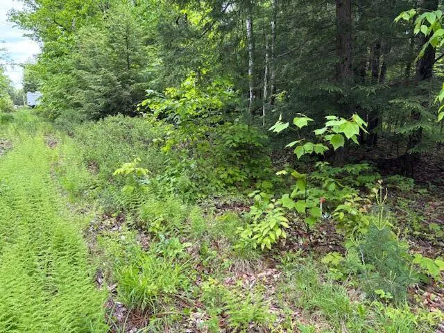 $250,000 | 44 A Trott Road, Woolwich, ME 04579