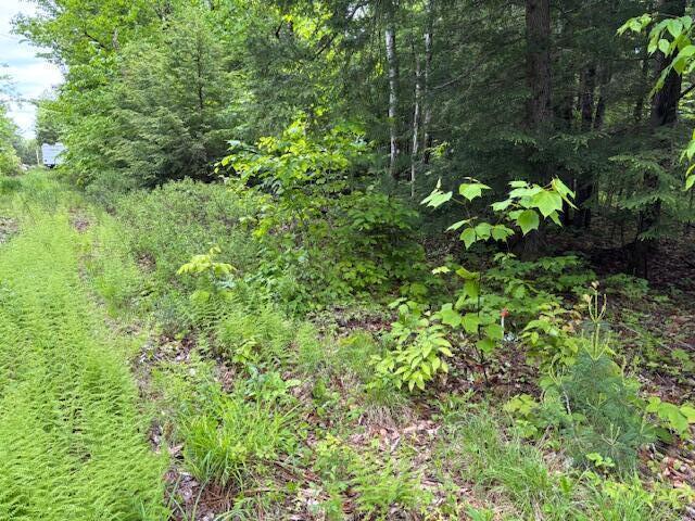 44 A Trott Road Woolwich, ME 04579 - Photo 7 of 37 Logging rd looking down at Easement