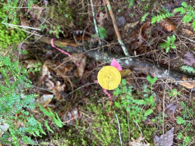 44 A Trott Road Woolwich, ME 04579 - Photo 8 of 37 Harper pin_Easement