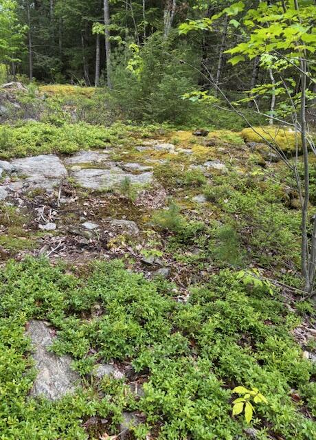 44 A Trott Road Woolwich, ME 04579 - Photo 9 of 37 Elevation climb