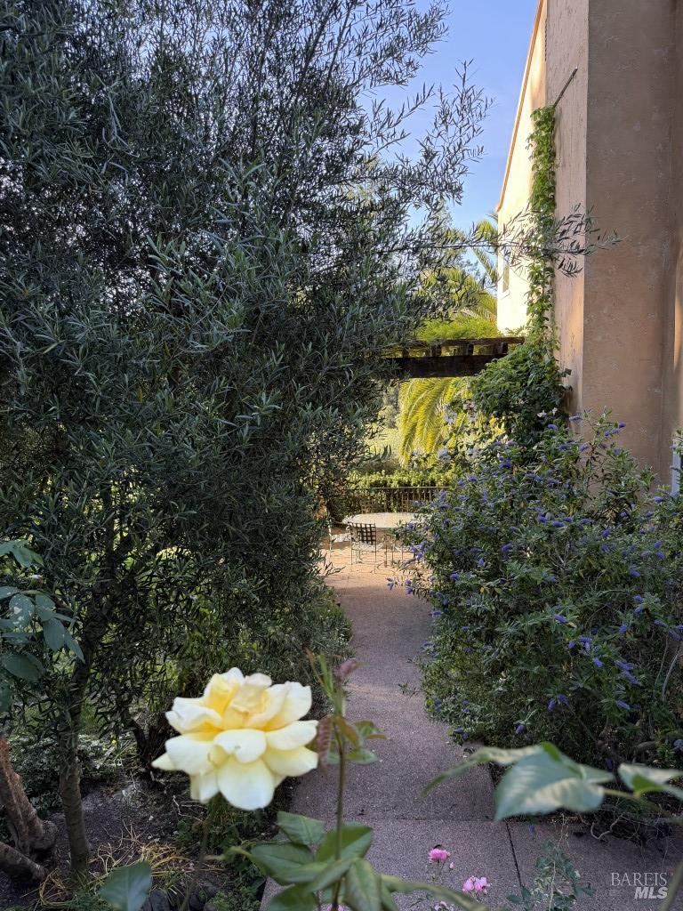 16875 Coleman Valley Road Occidental, CA 95465 - Photo 55 of 78