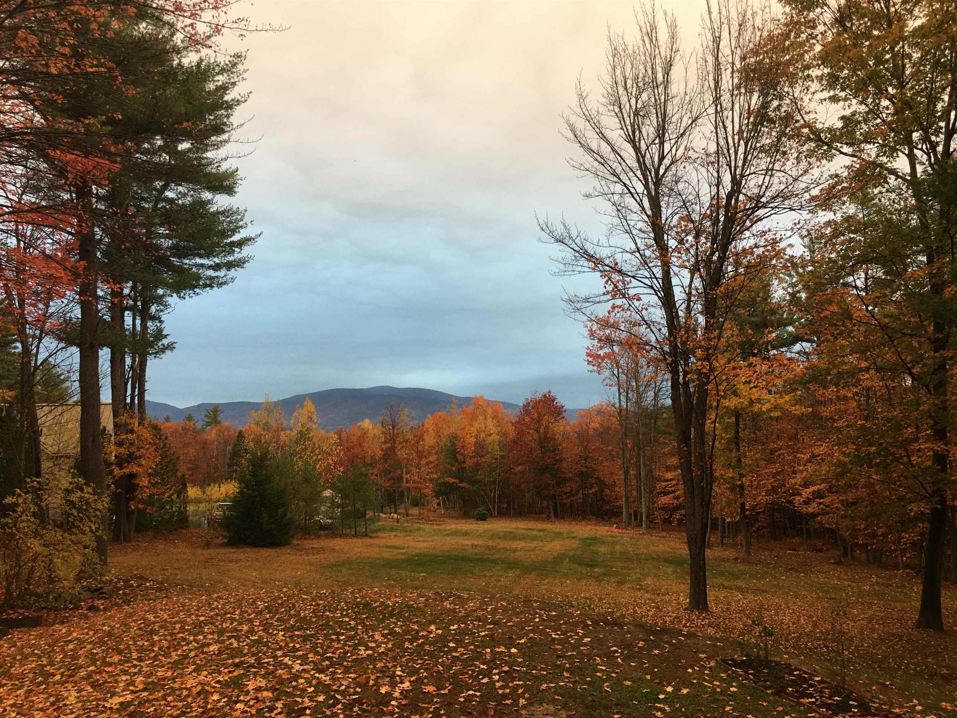 751 Davis Hill Road Conway, NH 03813 - Photo 20 of 31