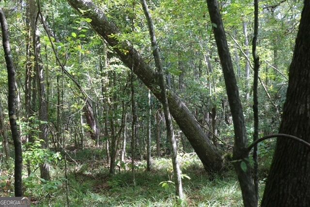 196 Gumlog Road Wrightsville, GA 31096 - Photo 13 of 19 Gallery Image 13