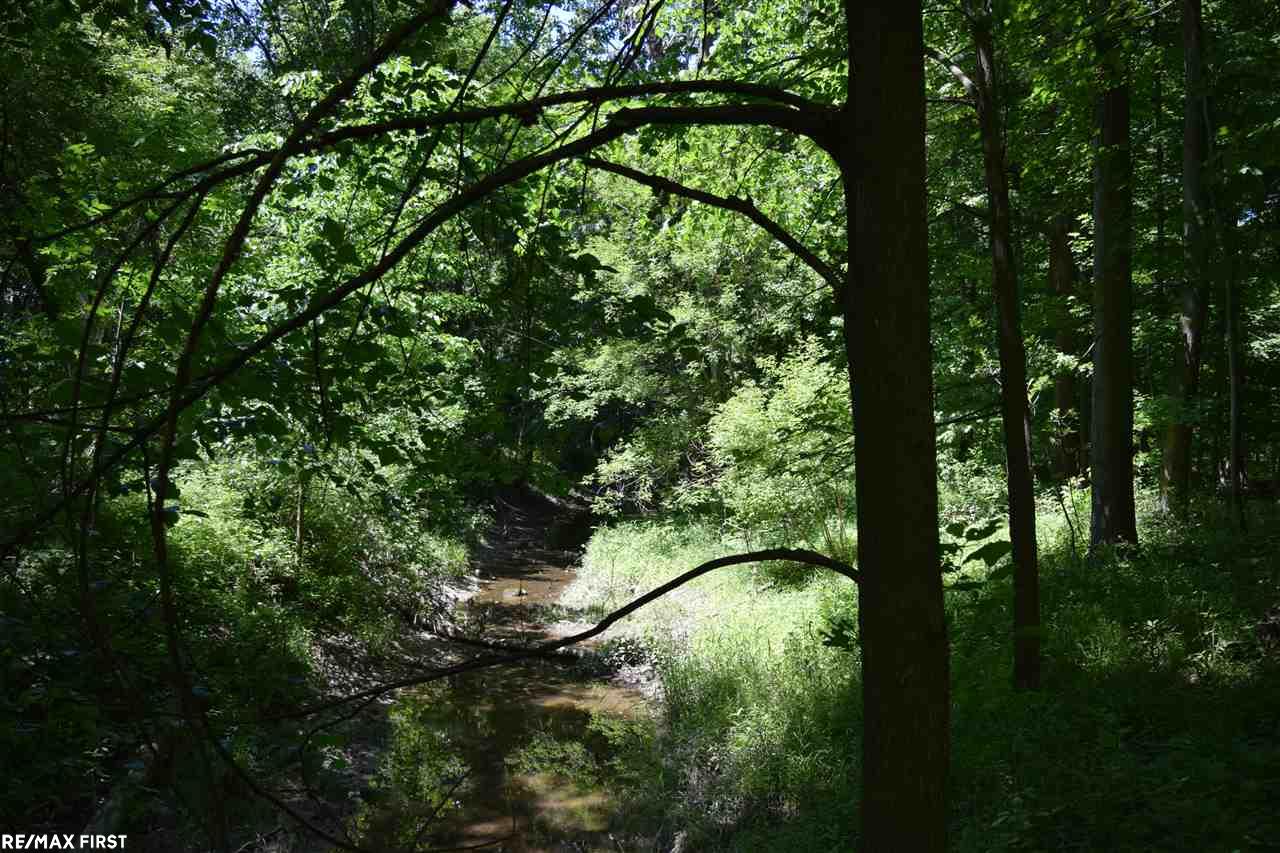 Kilgore Road Avoca, MI 48006 - Photo 8 of 11