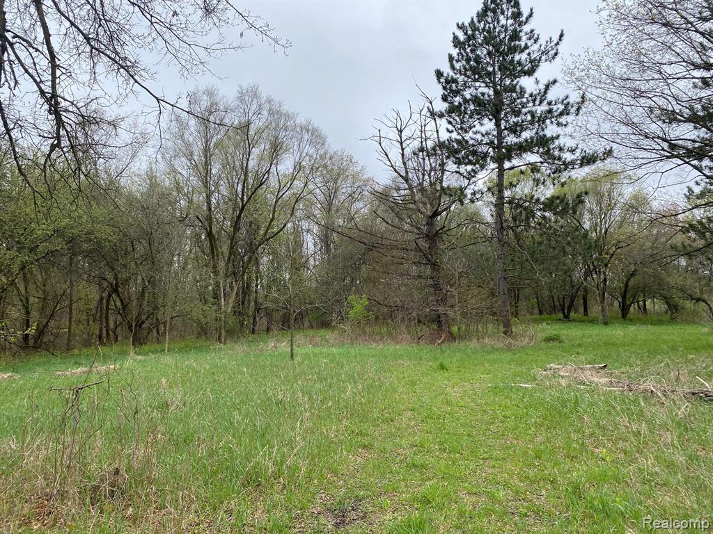 0 West Rose Center Road Holly, MI 48442 - Photo 4 of 7