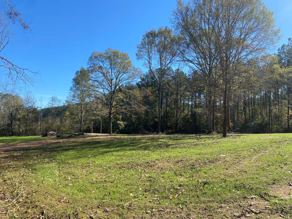 Tbd Pray Road Liberty, MS 39645 - Photo 1 of 4 Main View