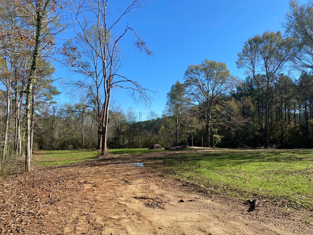 Tbd Pray Road Liberty, MS 39645 - Photo 2 of 4 Photo 2