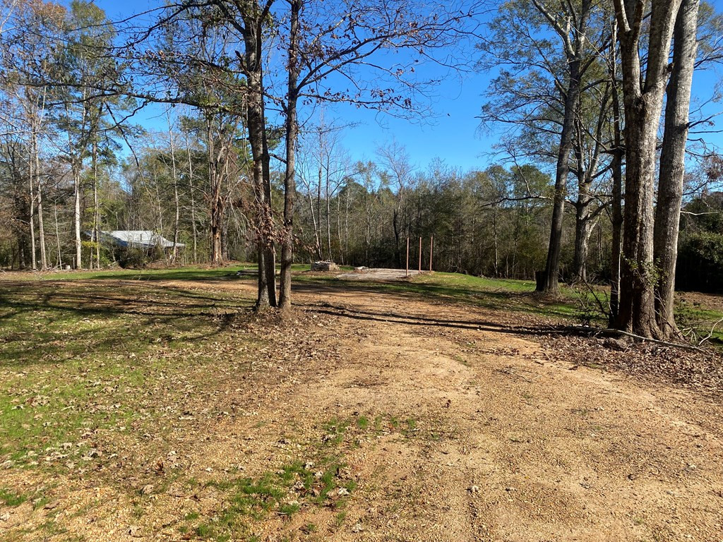 Tbd Pray Road Liberty, MS 39645 - Photo 4 of 4 Photo 4