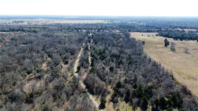 a view of dirt yard with a trees