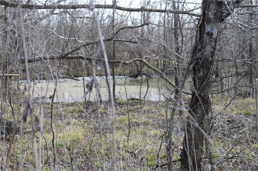 37.5 Antioch Road Midway, TX 75852 - Photo 23 of 24 a view of a yard