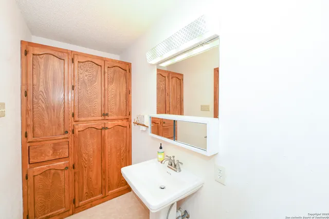 a bathroom with a sink a mirror and a shower