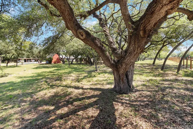 a view of outdoor space with trees all around