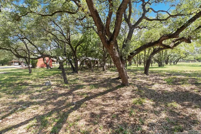 a view of yard with trees