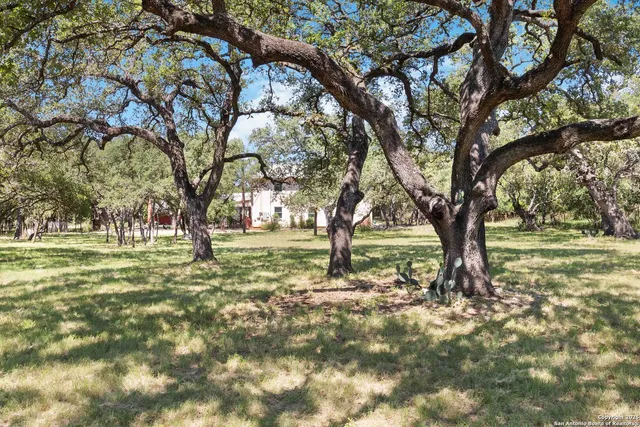 a view of outdoor space with trees
