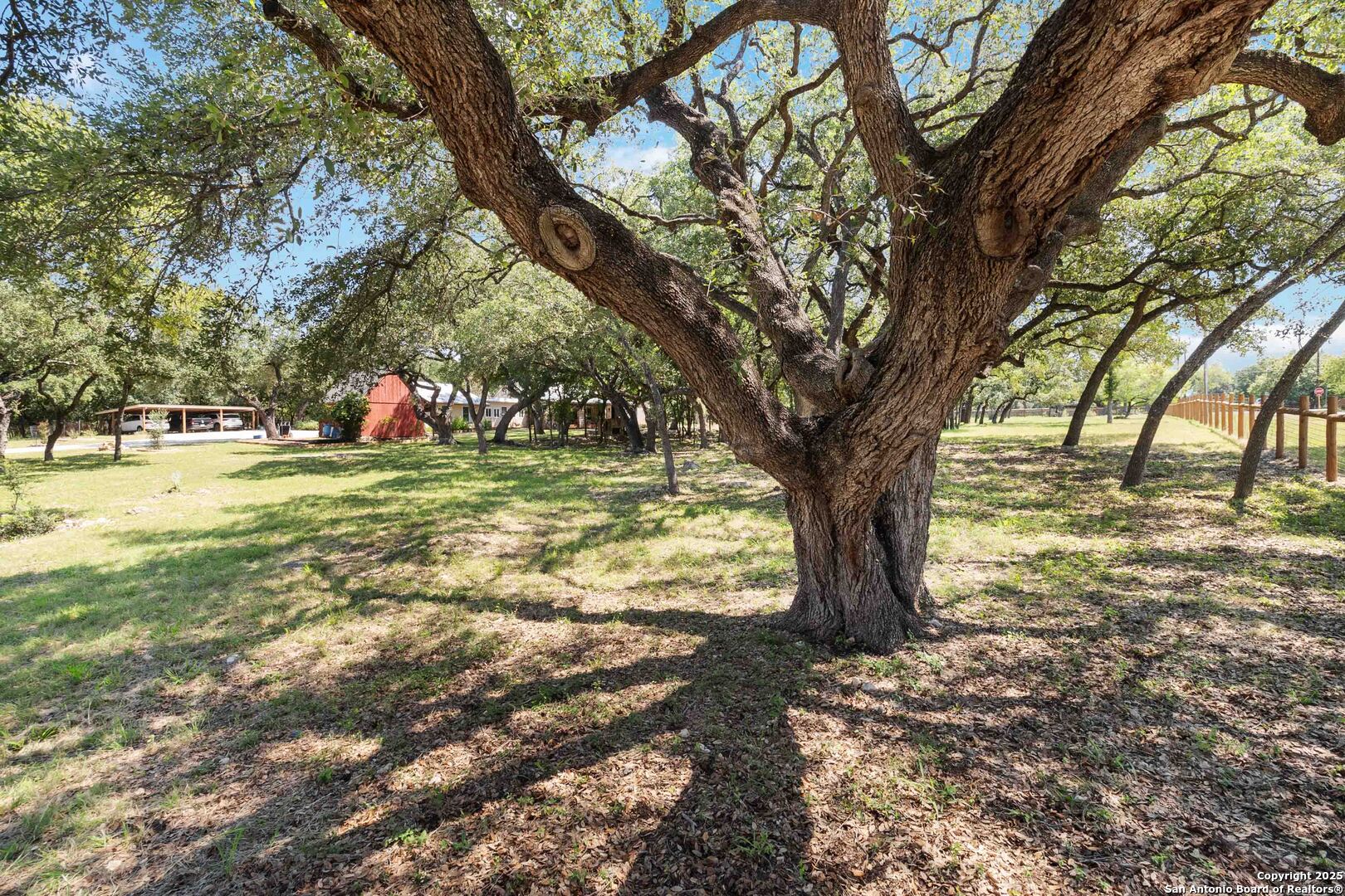 5803 Hollyhock Road San Antonio, TX 78240 - Photo 43 of 51 a view of a yard with a tree