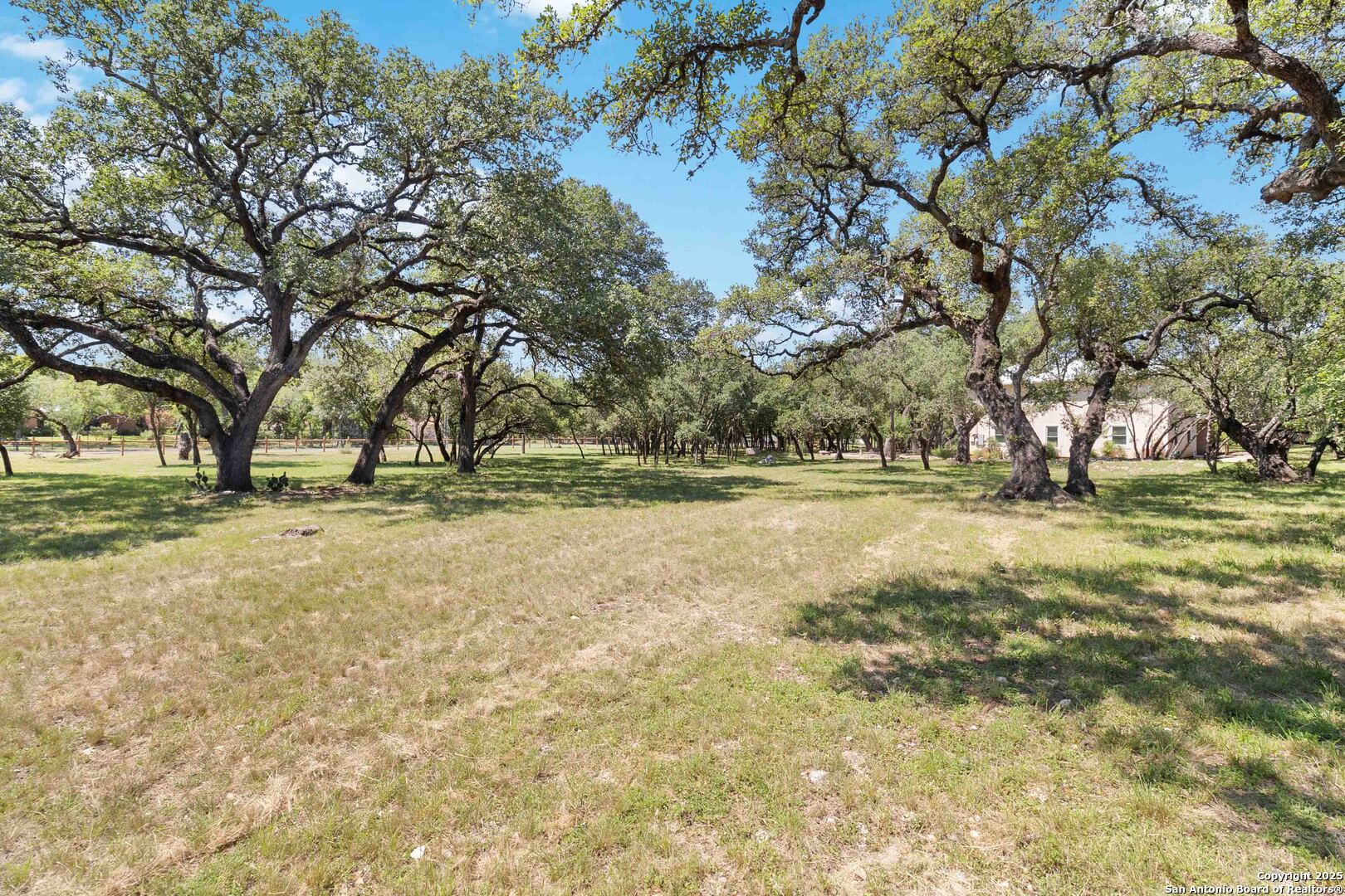 5803 Hollyhock Road San Antonio, TX 78240 - Photo 47 of 51 a view of outdoor space with trees