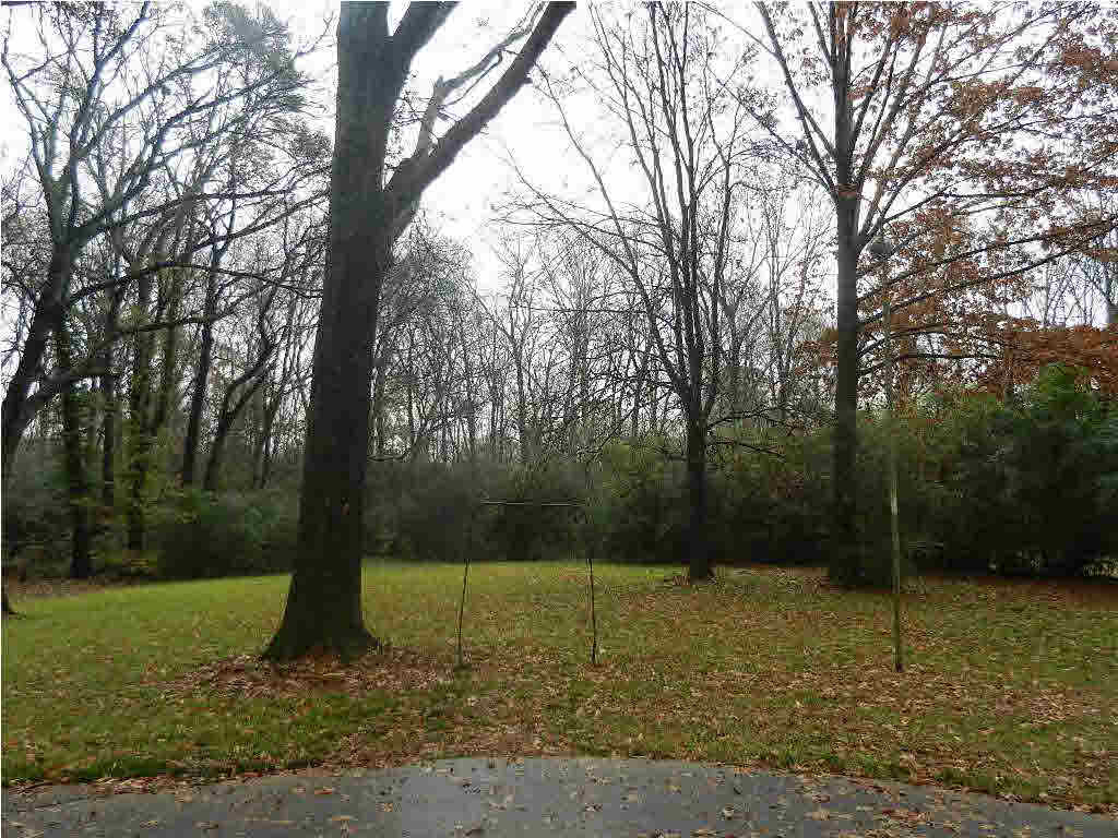 5266 Hanging Moss Road Jackson, MS 39206 - Photo 41 of 45 Photo 41