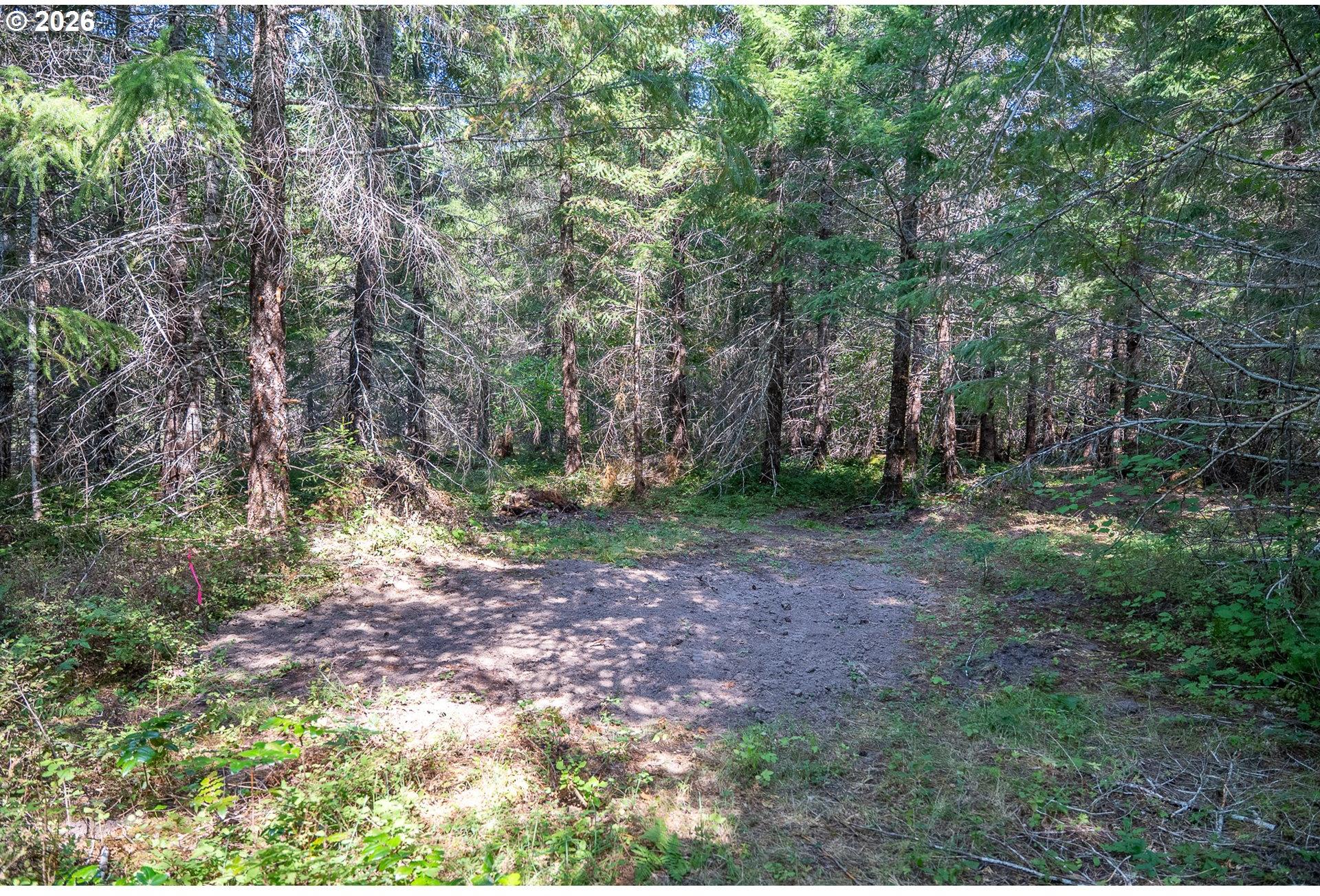 Hawk Meadows Road, Unit 3 Carson, WA 98610 - Photo 17 of 40 Gallery Image 17
