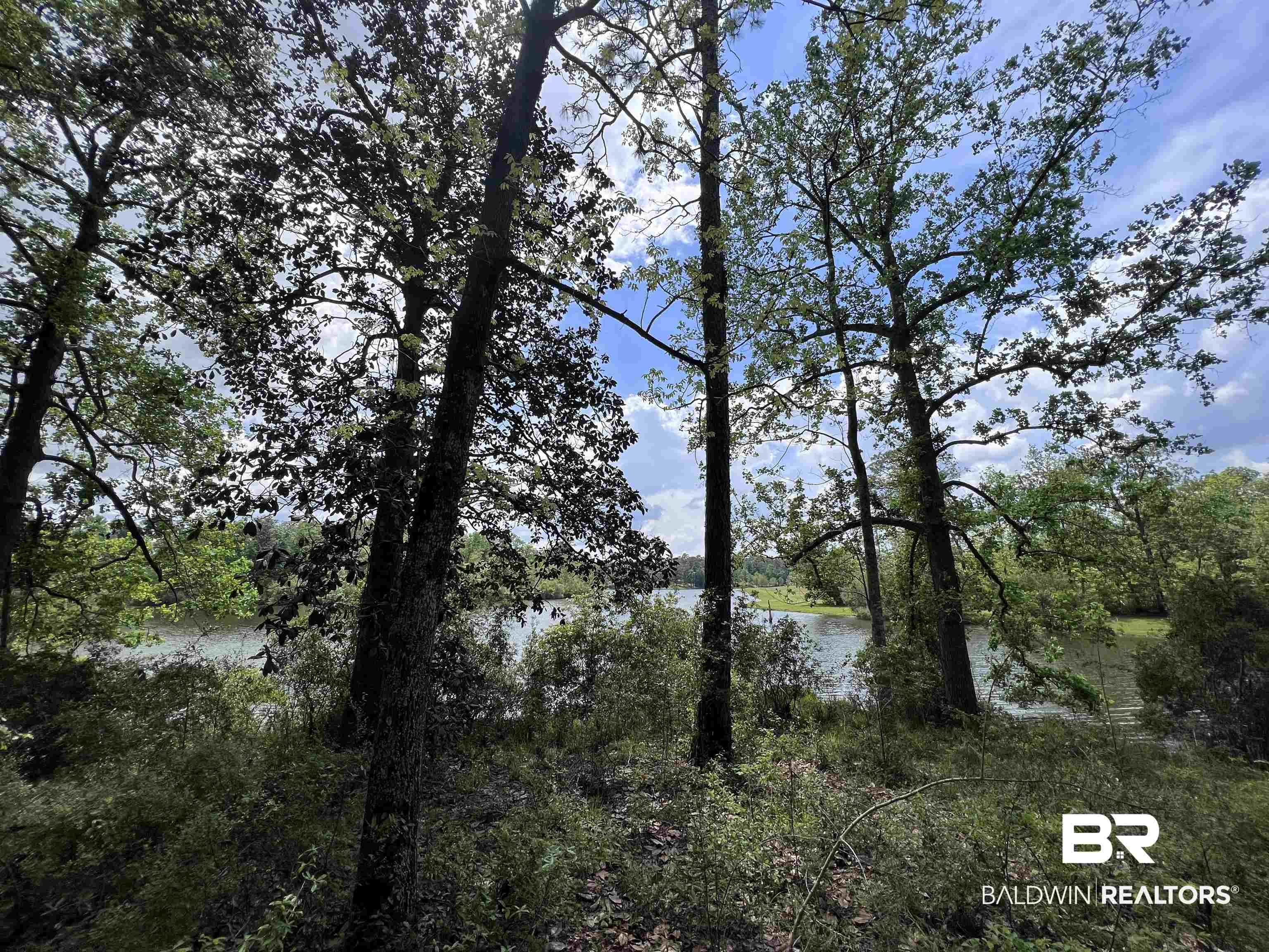 5100 Wiggins Lake Road Walnut Hill, FL 32568 - Photo 9 of 41