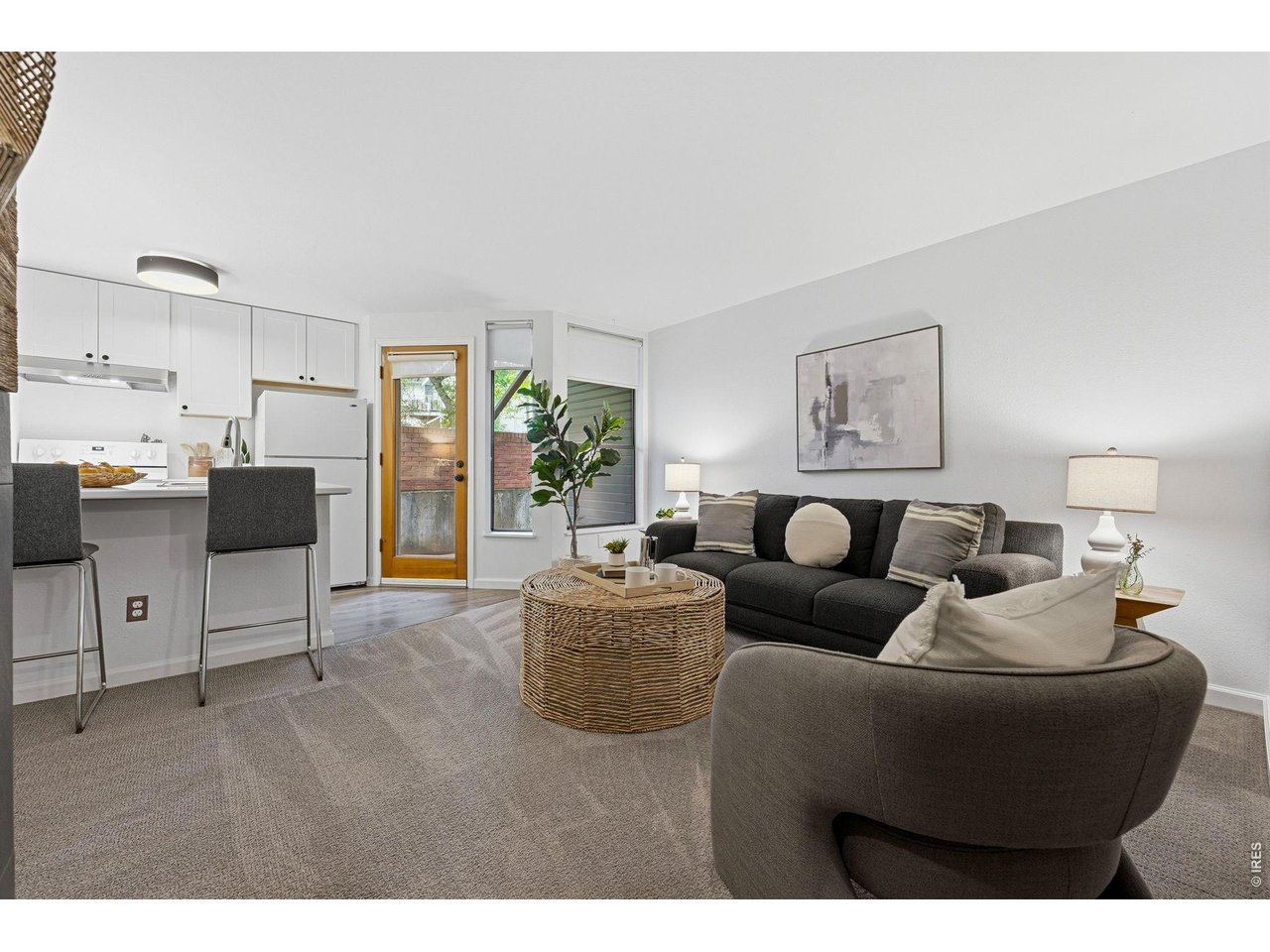 910 Portland Place, Unit 2 Boulder, CO 80304 - Photo 2 of 18 a living room with furniture and a potted plant