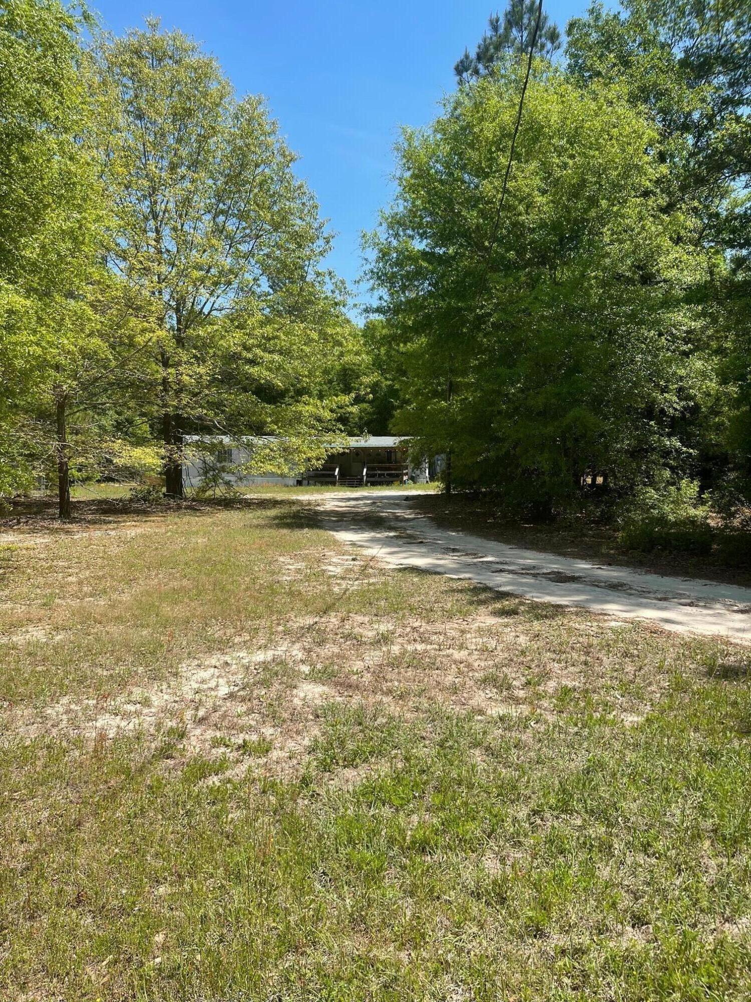 168 Weathersby Road Salley, SC 29137 - Photo 2 of 15