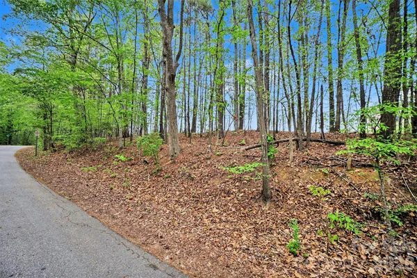 a big yard with lots of green space