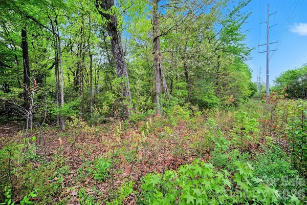a view of a yard with plants and a bench