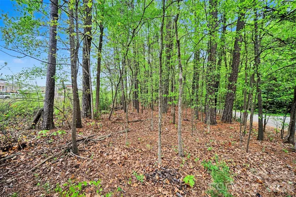 a view of outdoor space with lots of trees