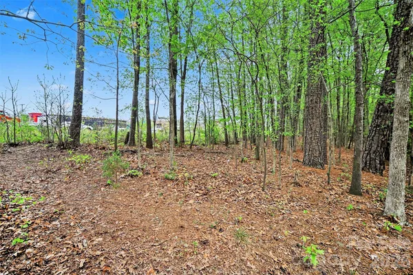 a backyard of a house with lots of green space and fountain