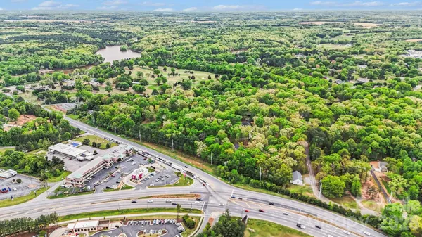 a view of a lush green field with lots of bushes