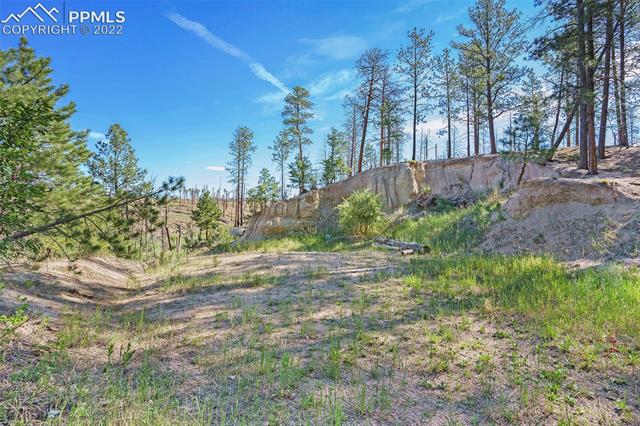 6310 Shoup Road Colorado Springs, CO 80908 - Photo 15 of 21